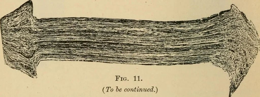 An illustration from The Locomotive, 1867, leaf 27