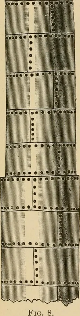 An illustration from The Locomotive, 1867, leaf 43