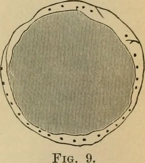 An illustration from The Locomotive, 1867, leaf 43