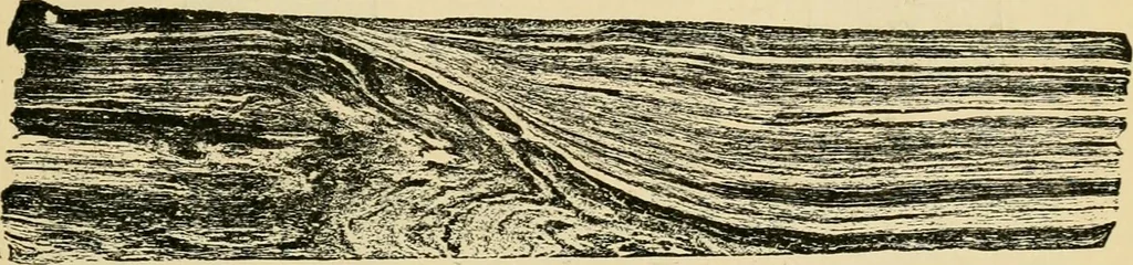 An illustration from The Locomotive, 1867, leaf 56