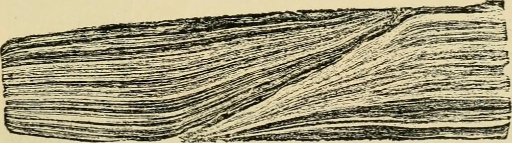 An illustration from The Locomotive, 1867, leaf 56