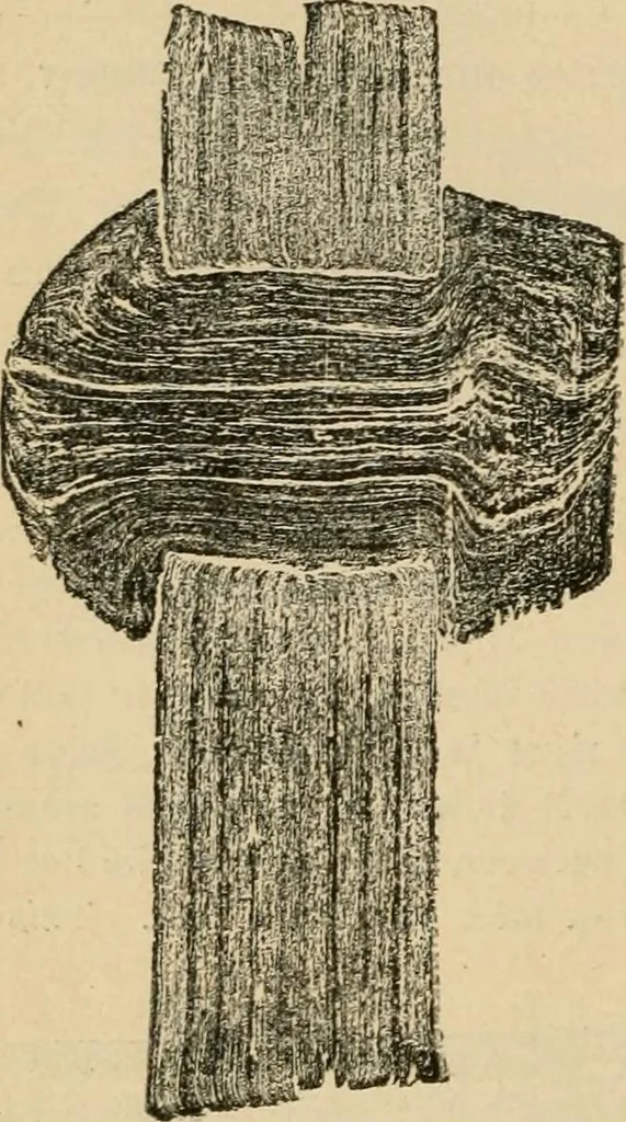 An illustration from The Locomotive, 1867, leaf 57