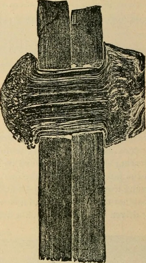 An illustration from The Locomotive, 1867, leaf 57