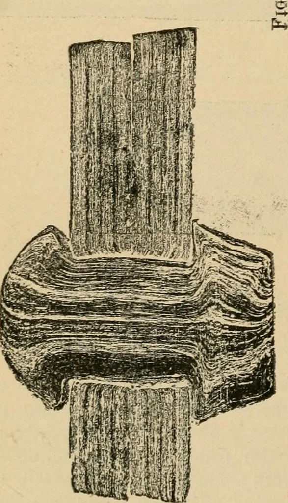 An illustration from The Locomotive, 1867, leaf 57