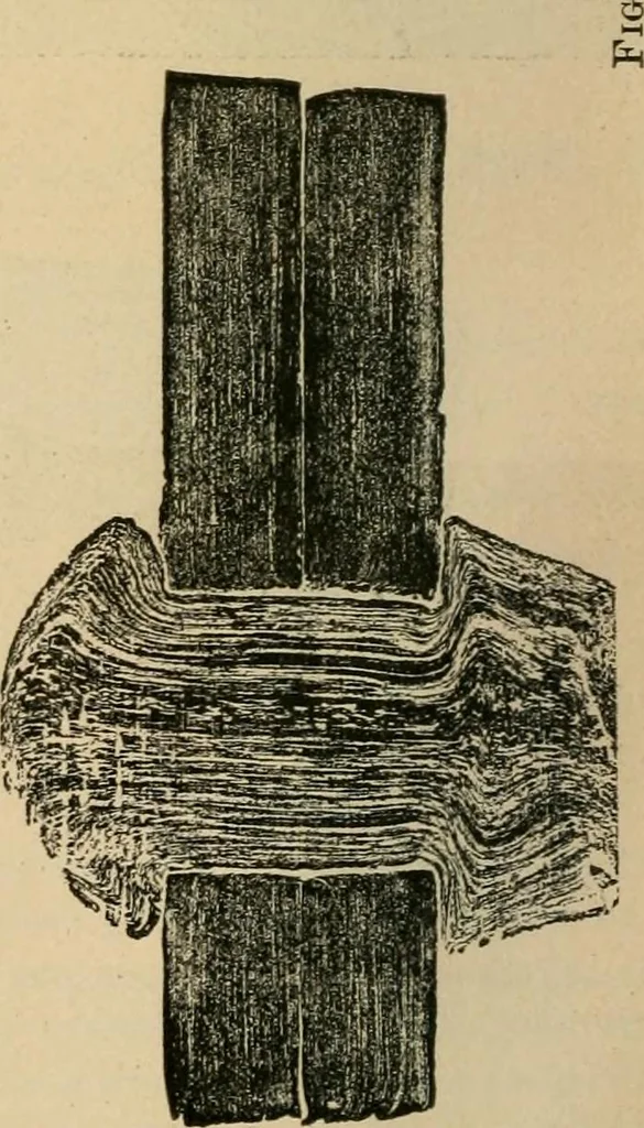 An illustration from The Locomotive, 1867, leaf 57