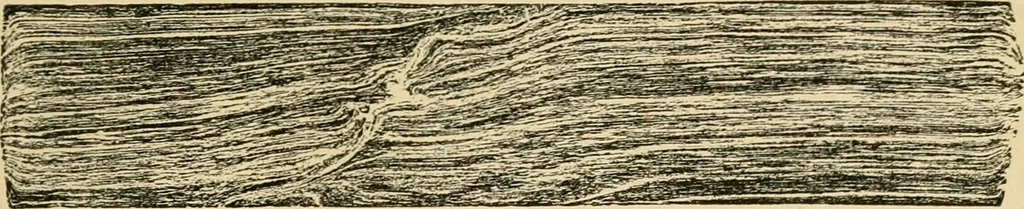 An illustration from The Locomotive, 1867, leaf 58