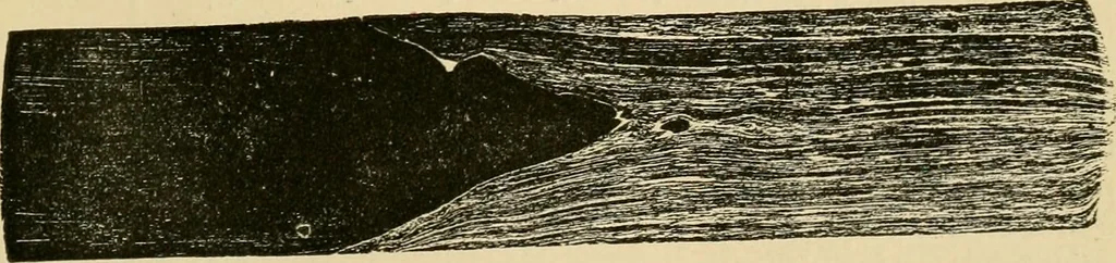 An illustration from The Locomotive, 1867, leaf 58