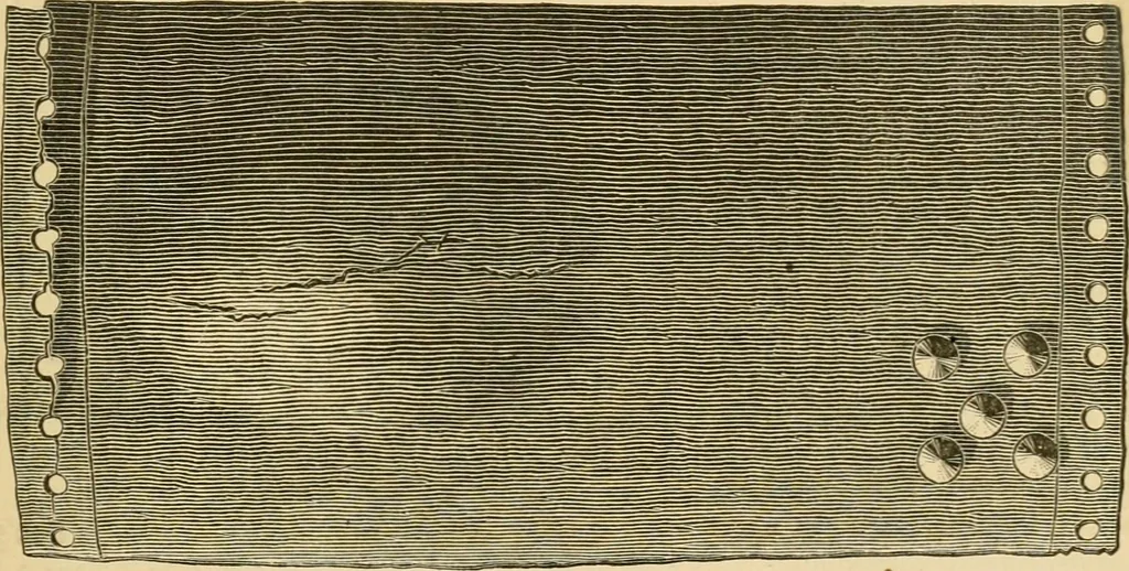 An illustration from The Locomotive, 1867, leaf 134