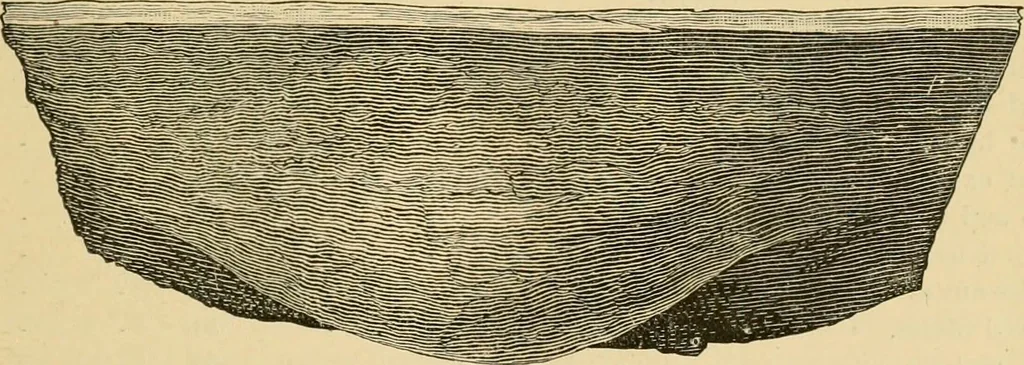 An illustration from The Locomotive, 1867, leaf 150