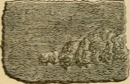 An illustration from The Locomotive, 1867, leaf 55