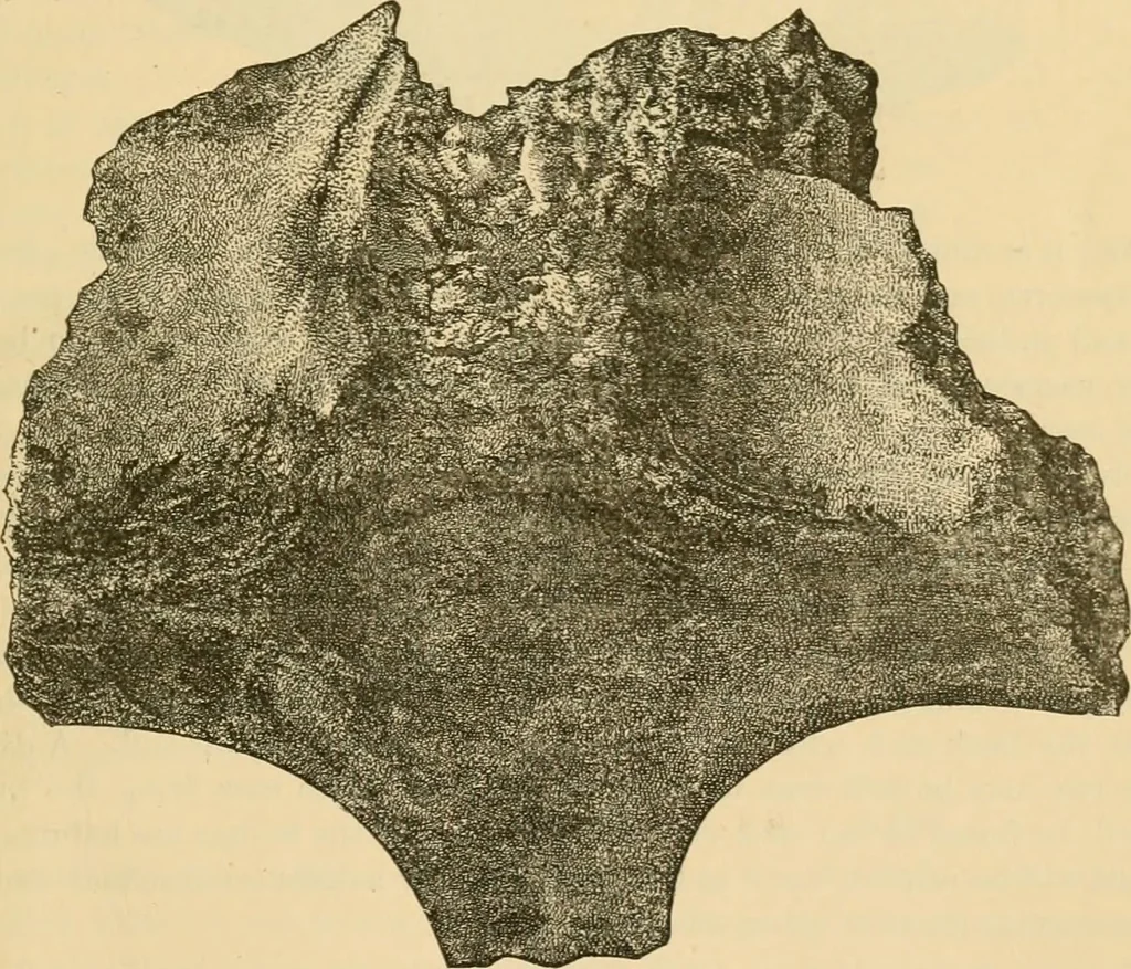 An illustration from The Locomotive, 1867, leaf 10
