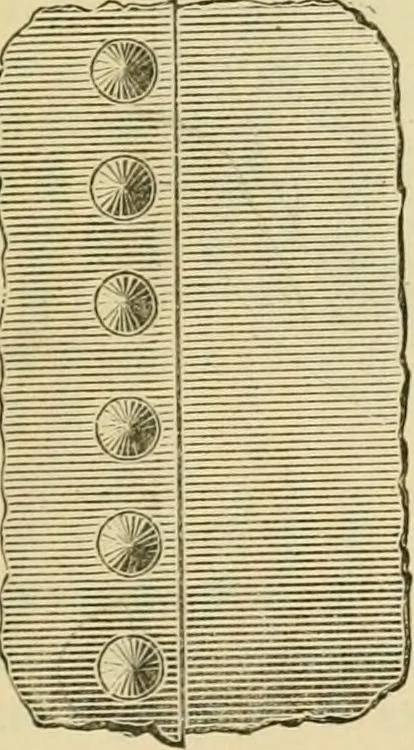An illustration from The Locomotive, 1867, leaf 106