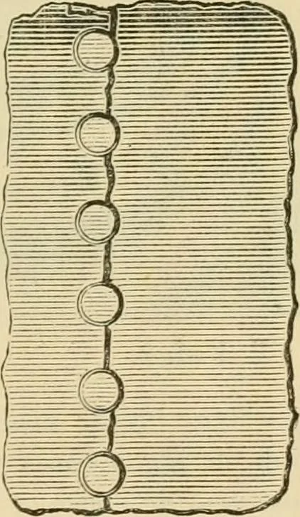 An illustration from The Locomotive, 1867, leaf 106