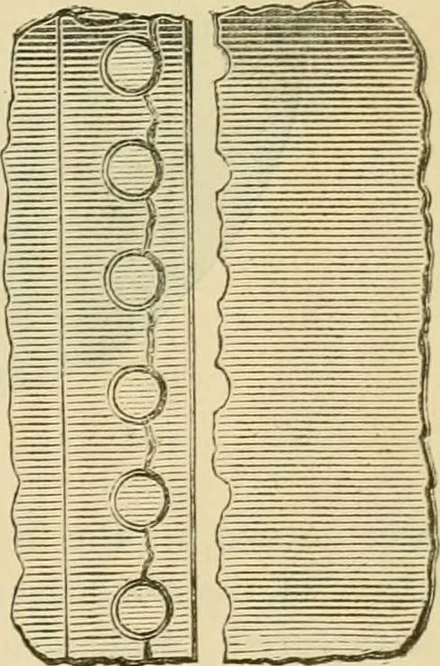 An illustration from The Locomotive, 1867, leaf 106