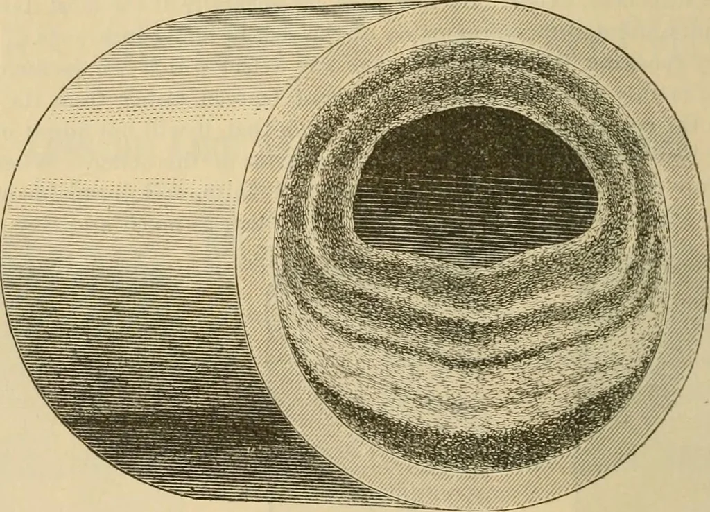 An illustration from The Locomotive, 1867, leaf 107