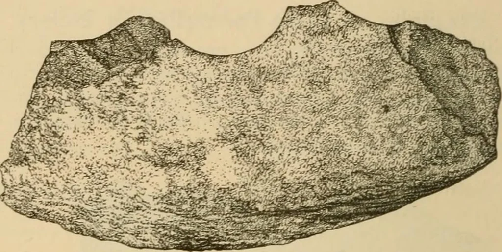 An illustration from The Locomotive, 1867, leaf 11