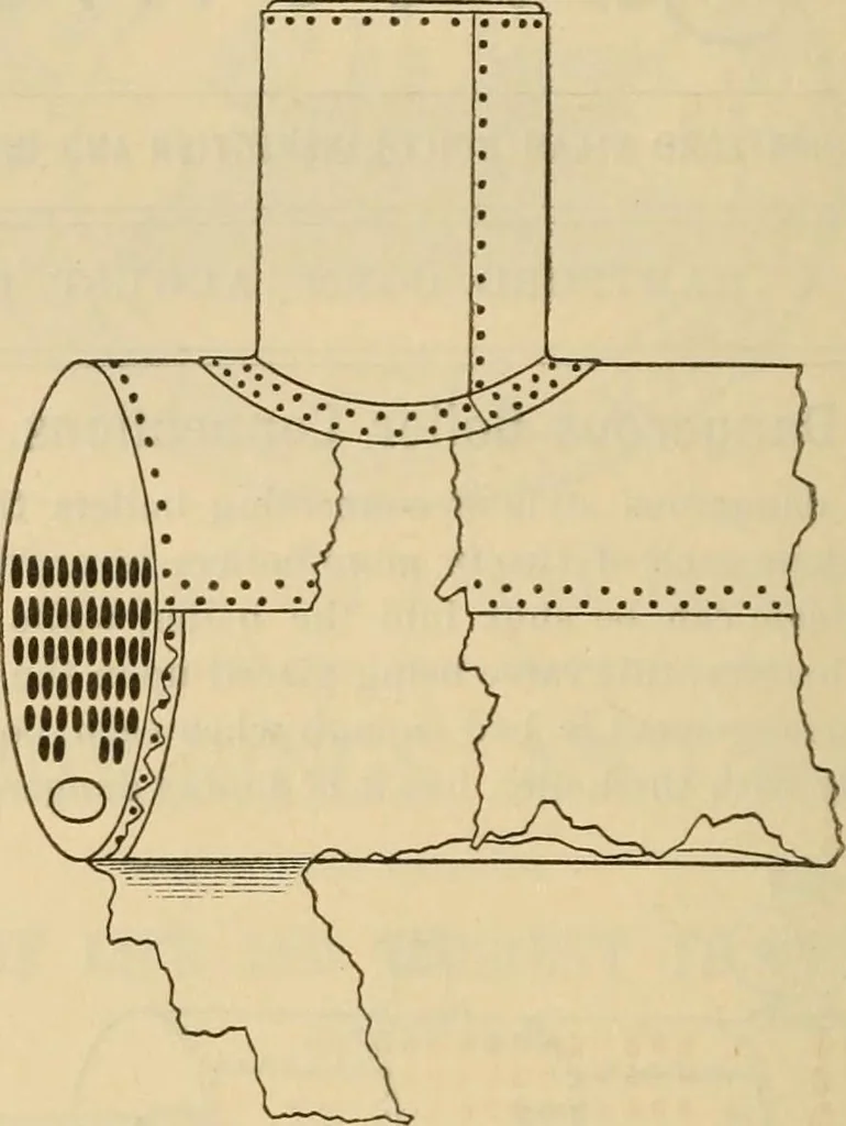 An illustration from The Locomotive, 1867, leaf 123