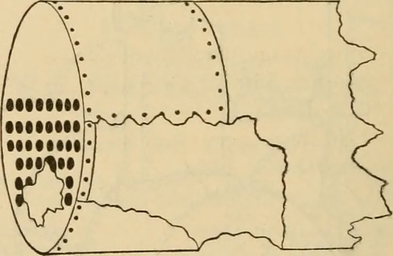 An illustration from The Locomotive, 1867, leaf 123