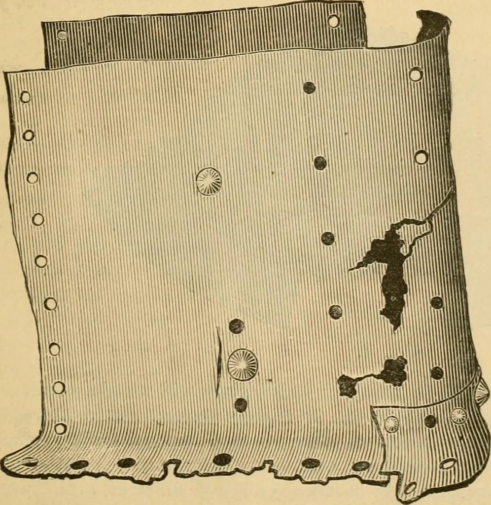 An illustration from The Locomotive, 1867, leaf 58
