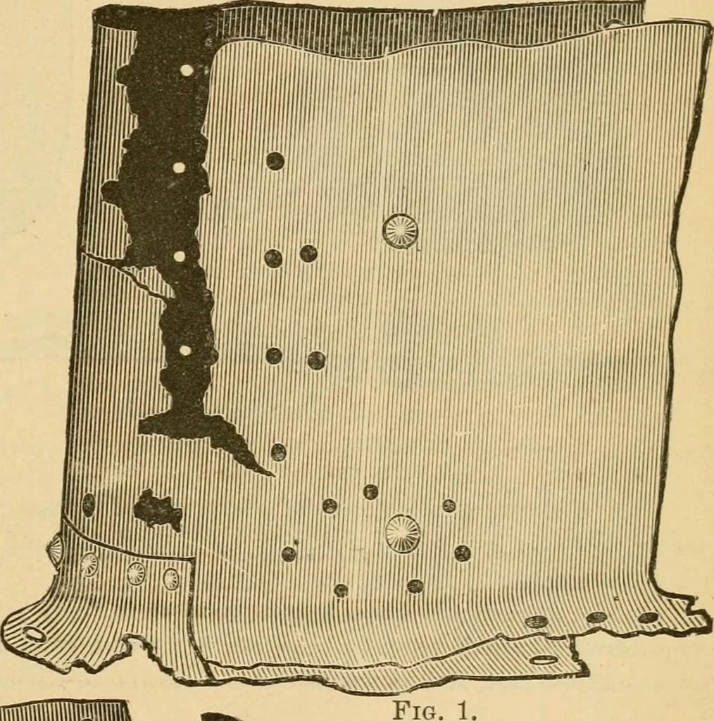 An illustration from The Locomotive, 1867, leaf 58