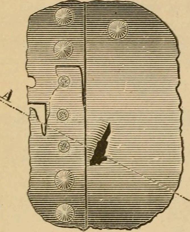 An illustration from The Locomotive, 1867, leaf 59