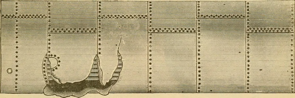 An illustration from The Locomotive, 1867, leaf 74