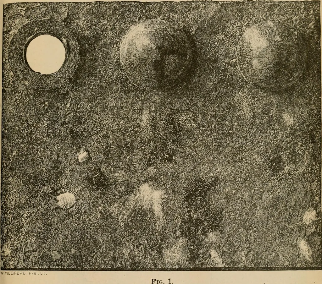 An illustration from The Locomotive, 1867, leaf 120