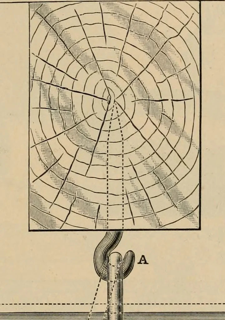 An illustration from The Locomotive, 1867, leaf 168