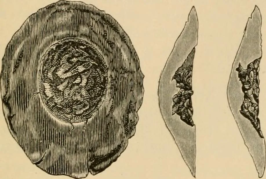 An illustration from The Locomotive, 1867, leaf 109
