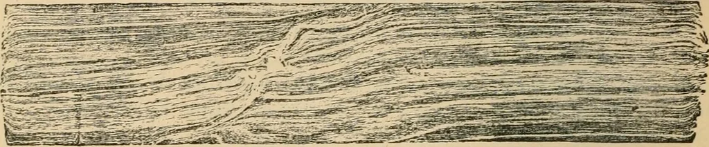 An illustration from The Locomotive, 1867, leaf 171
