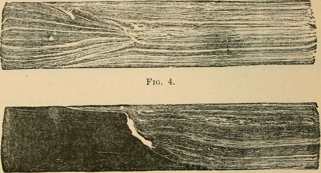 An illustration from The Locomotive, 1867, leaf 171