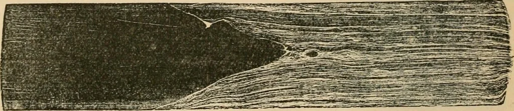 An illustration from The Locomotive, 1867, leaf 171