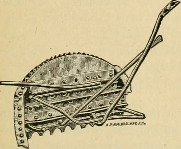 An illustration from The Locomotive, 1867, leaf 42