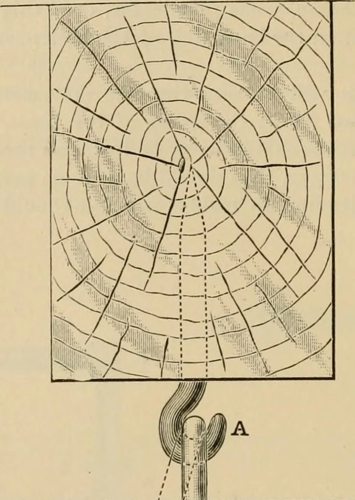 An illustration from The Locomotive, 1867, leaf 123