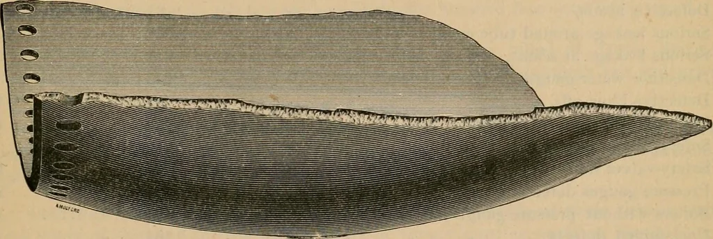 An illustration from The Locomotive, 1867, leaf 72