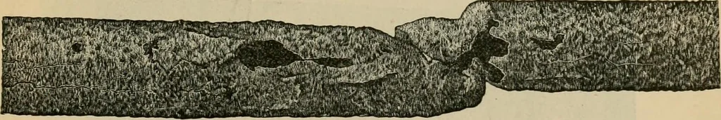 An illustration from The Locomotive, 1867, leaf 184