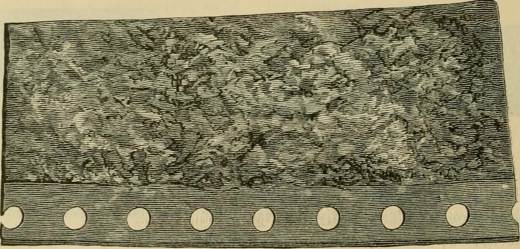An illustration from The Locomotive, 1867, leaf 185