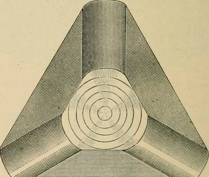An illustration from The Locomotive, 1867, leaf 139