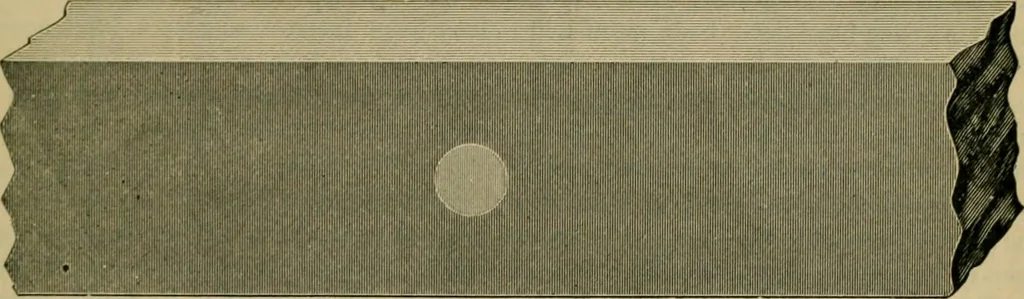 An illustration from The Locomotive, 1867, leaf 24