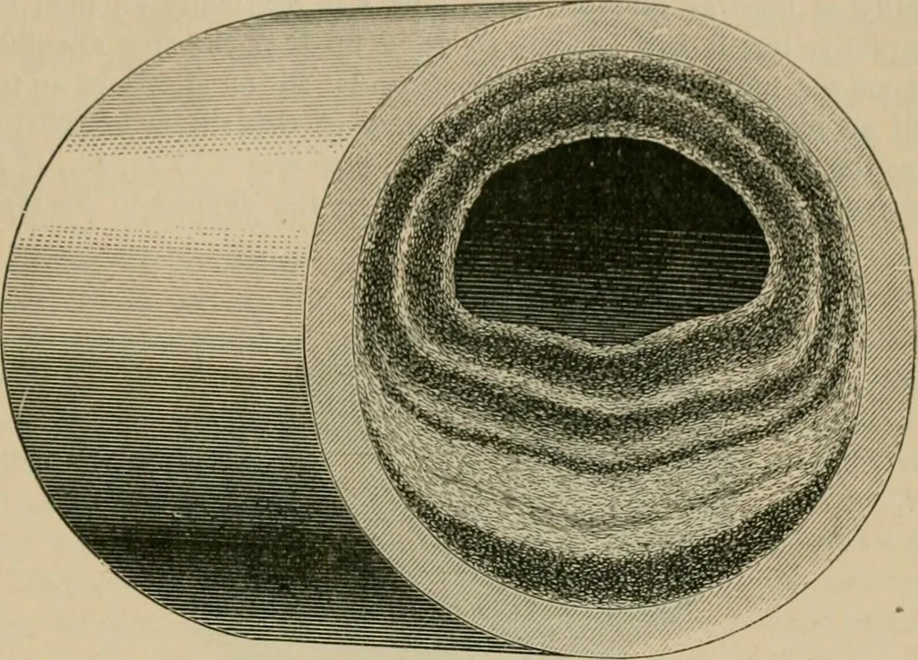 An illustration from The Locomotive, 1867, leaf 138