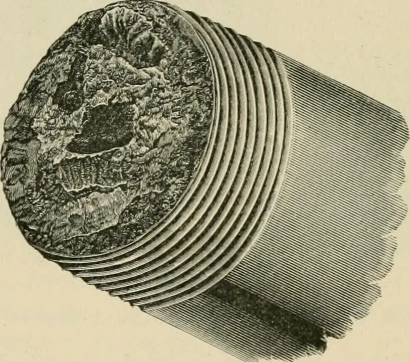 An illustration from The Locomotive, 1867, leaf 139