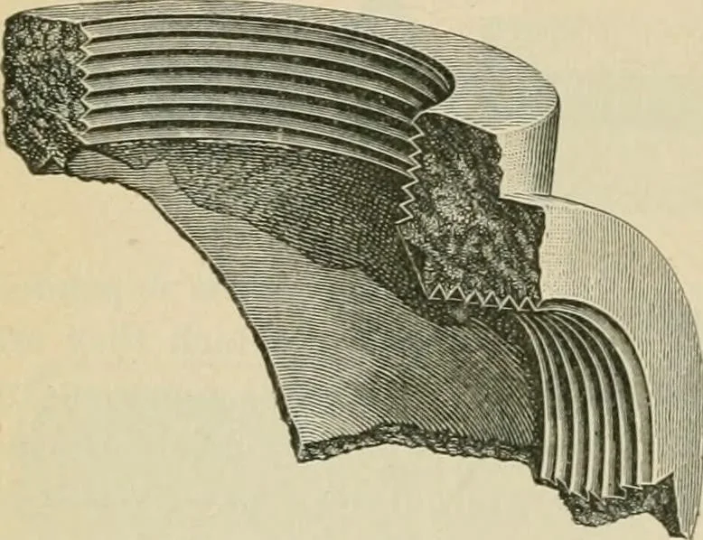 An illustration from The Locomotive, 1867, leaf 155