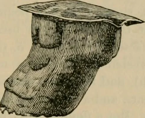 An illustration from The Locomotive, 1867, leaf 56