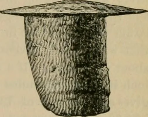 An illustration from The Locomotive, 1867, leaf 56