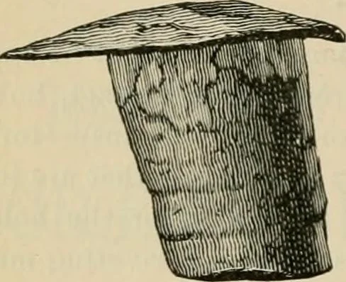 An illustration from The Locomotive, 1867, leaf 57