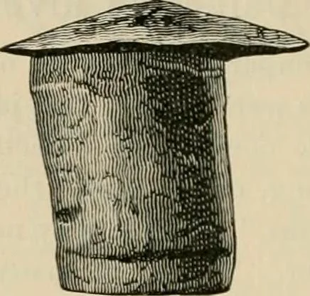 An illustration from The Locomotive, 1867, leaf 57