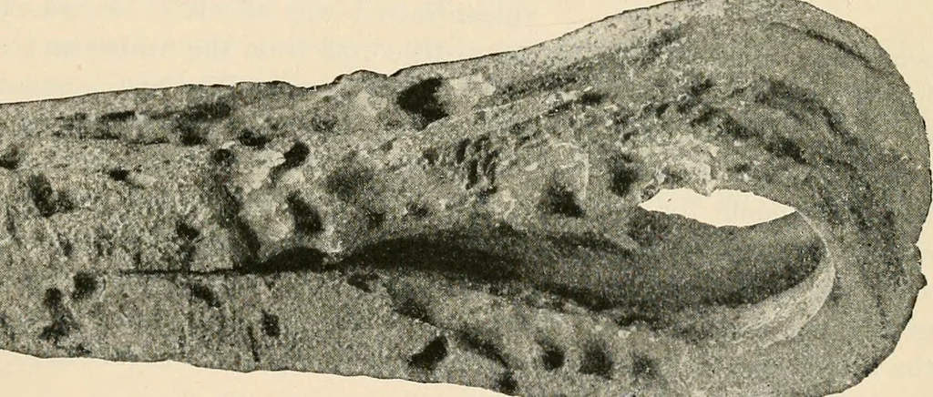 An illustration from The Locomotive, 1867, leaf 120