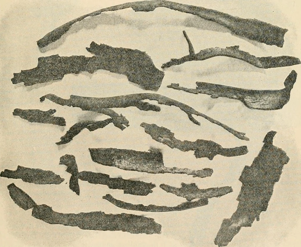 An illustration from The Locomotive, 1867, leaf 154