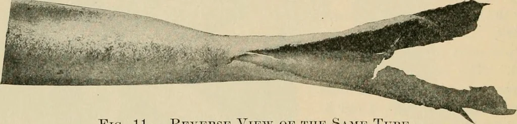 An illustration from The Locomotive, 1867, leaf 157