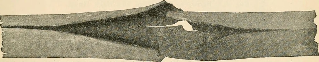 An illustration from The Locomotive, 1867, leaf 168